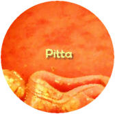 Pitta2012